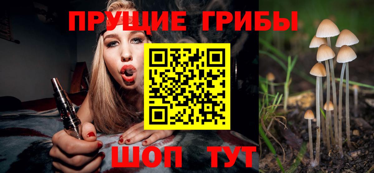 Галлюциногенные грибы Magic Shrooms  Вход с VPN  Грозный 